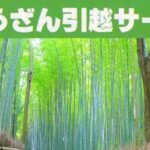 しょうざん引越サービス