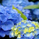 引越しの相場、３月・４月はやっぱり高い！？安い時期はいつ頃？