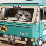 宅急便で安く引っ越し！少ない荷物なら宅急便の引っ越しもアリ？